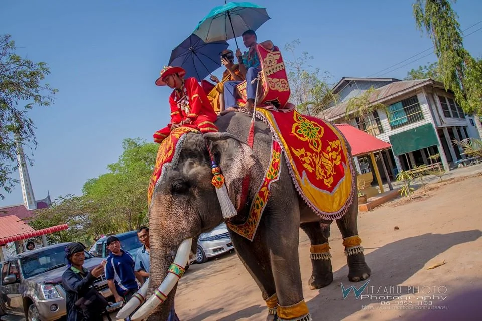 ภาพที่ 5