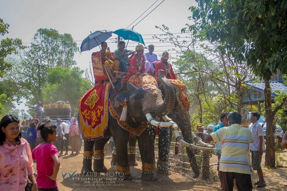 ภาพที่ 19