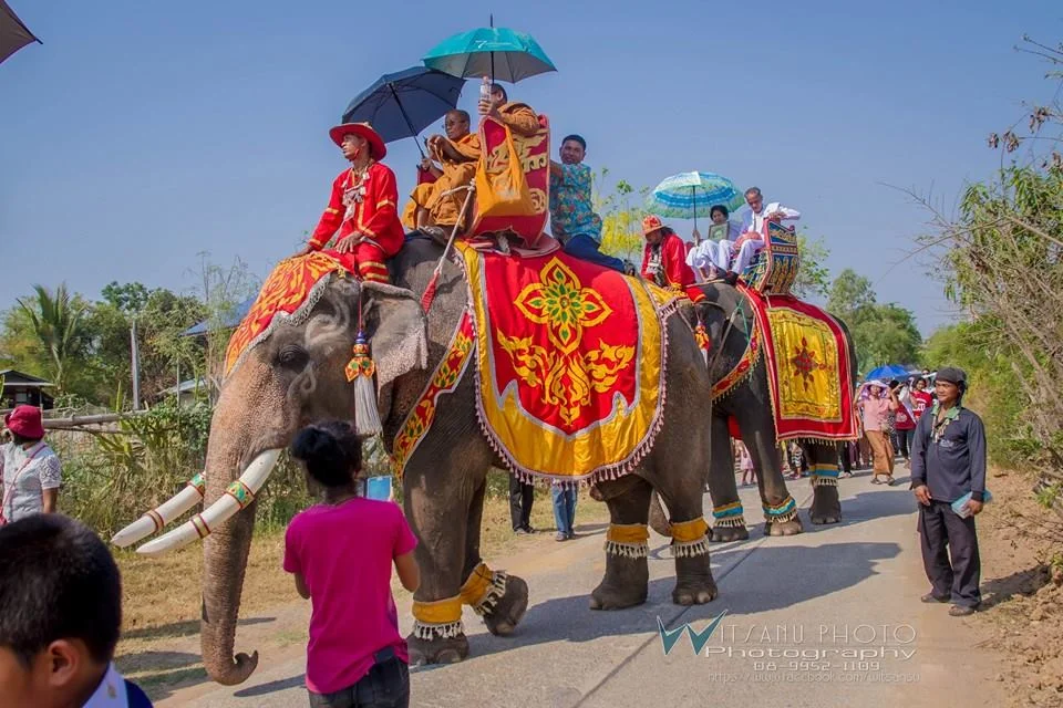 ภาพที่ 17