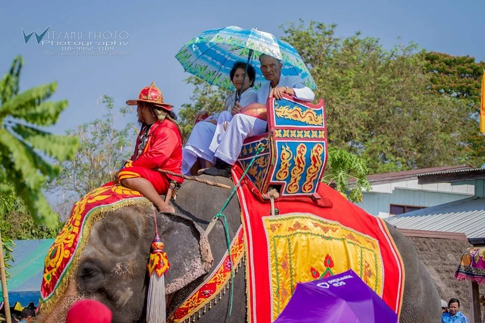 ภาพที่ 20