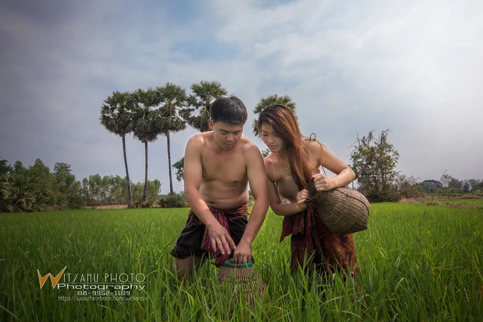 ภาพที่ 11