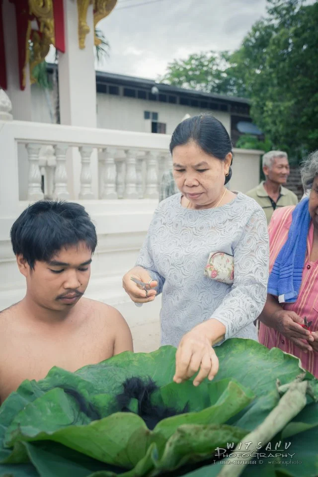ภาพที่ 8
