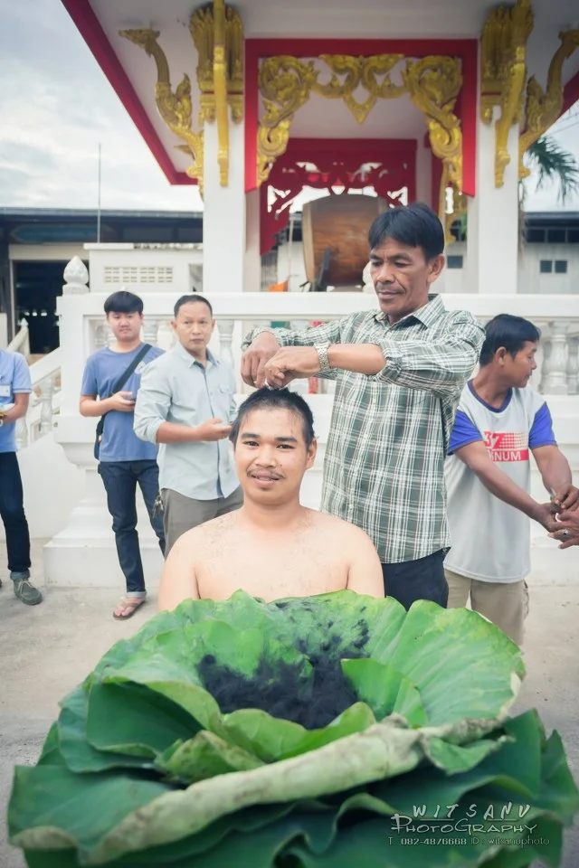 ภาพที่ 12